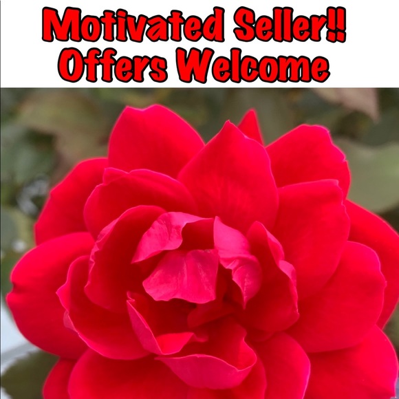 Not For Sale - Picture 1 of 1